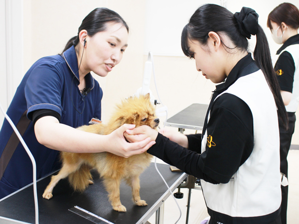 １年生のトリミング実習！